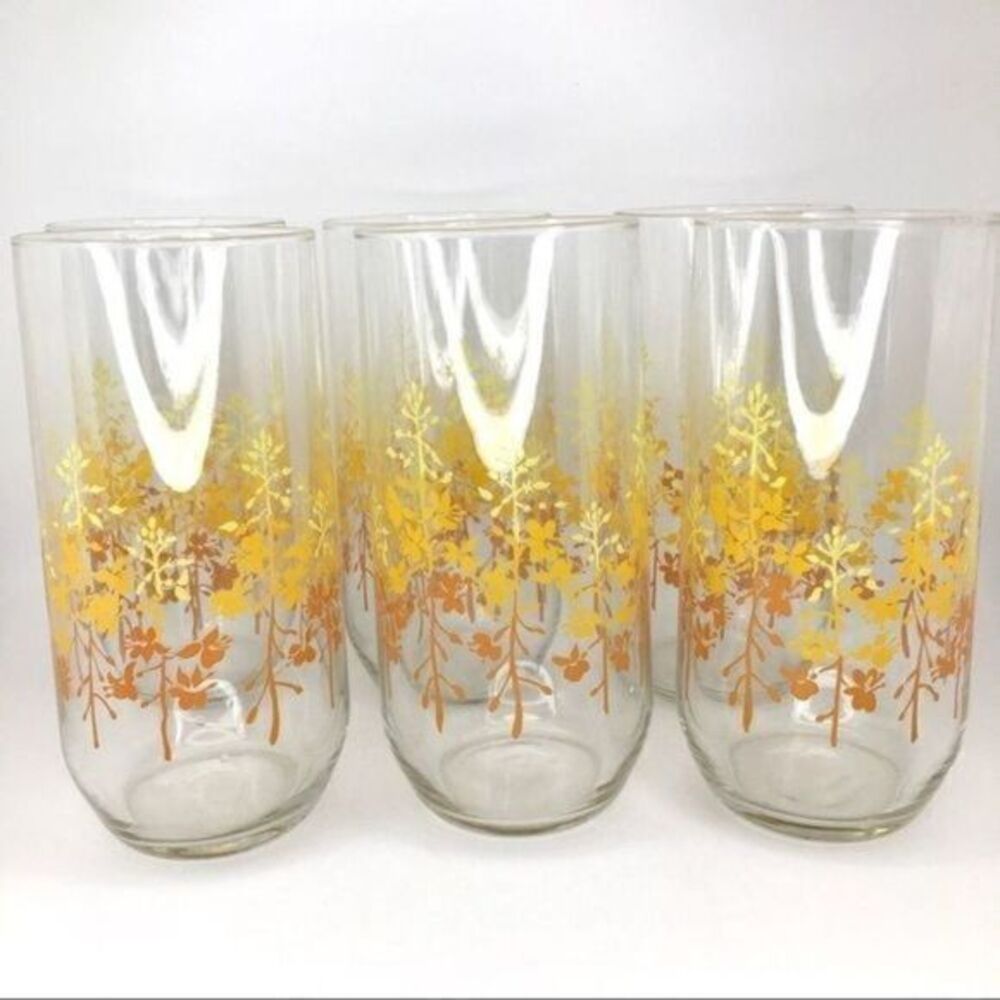 Vintage Libbey Fall Floral Glasses Complete Set (6)